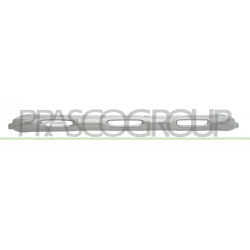 Bandeau Inferieur Centrale de Pare-Chocs Avant-Peinte Argent