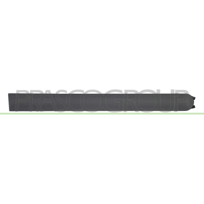 Bandeau de Porte arrière côté chauffeur-Noir Bandeau de Porte arrière côté chauffeur-Noir