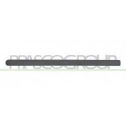 Bandeau de Porte avant côté chauffeur-Noir