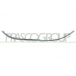 Moulure Chromee de Grille de Calandre