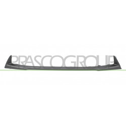 Bandeau Inferieur Centrale de Pare-Chocs Avant-Peinte Argent