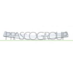 Bandeau Centrale de Pare-Chocs avant Chromee