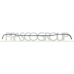 Bandeau Centrale de Pare-Chocs arrière Chromee Mod. E53/ E63 Amg