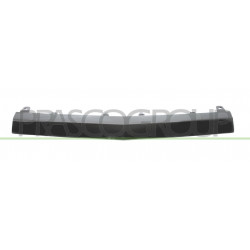 Bandeau Centrale de Pare-Chocs avant Noir Brillant