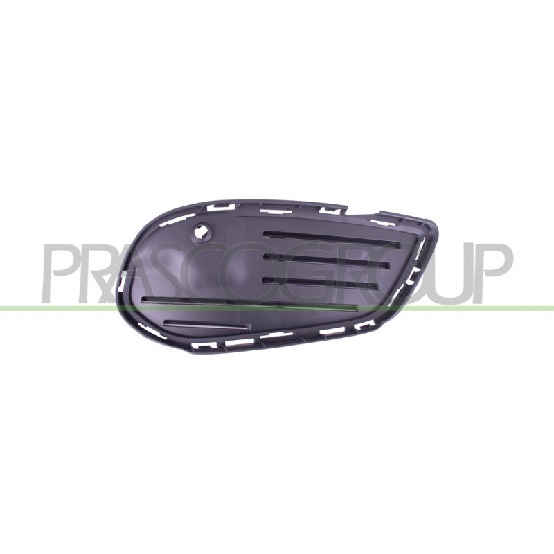 Grille Interne côté passager de Pare-Chocs avant Noire Mod. Amg Grille Interne côté passager de Pare-Chocs avant Noire Mod. Amg