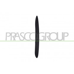 Grille Droite De Pare-Chocs Arriere-Noire Mod. Amg C43