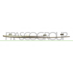 Moulure Inferieur côté passager de Grille de Pare-Chocs Avant-Chromee Mod. Amg