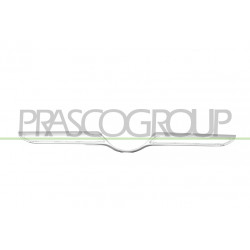 Moulure Inferieur Argent Avece Trous Camera-Grille de Calandre