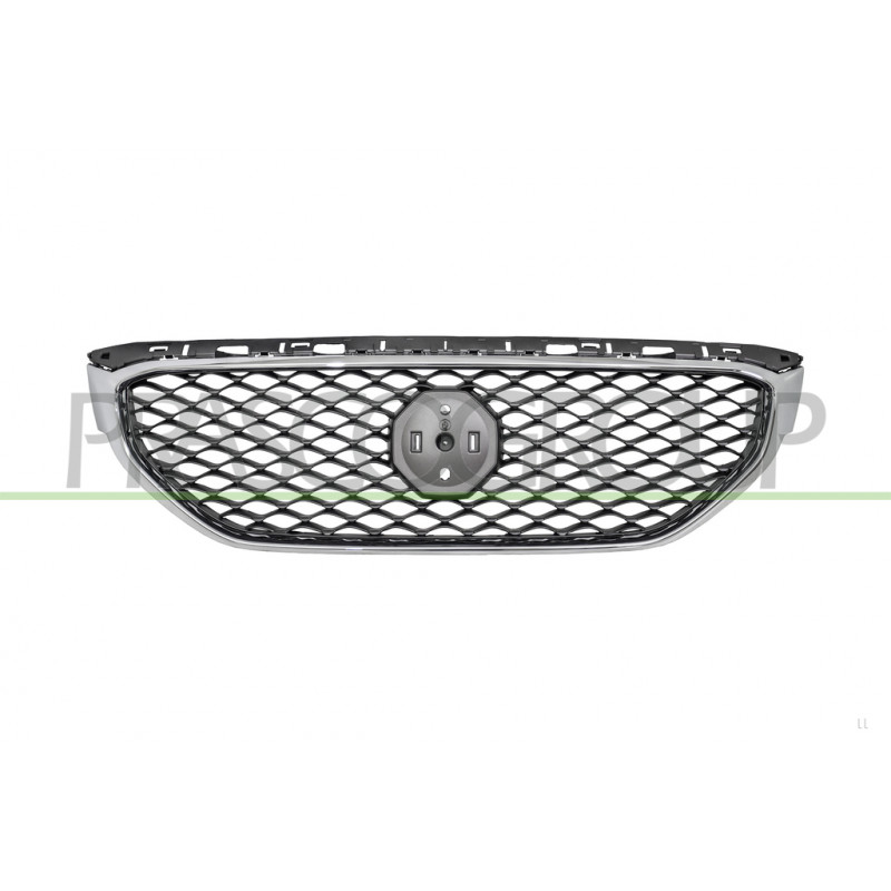 Grille De Calandre-Peinte En Gris-Avec Cadre Chromé-Avec Trou Camera Grille De Calandre-Peinte En Gris-Avec Cadre Chromé-Avec Trou Camera