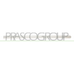 Bandeau Porte côté passager avant avec Apprett Mod. 5 Portes