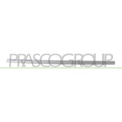 Bandeau Porte côté passager Avant-Noir Lisse Mod. 5 Portes