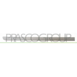 Bandeau Porte arrière côté passager avec Appret Mod. 5 Portes