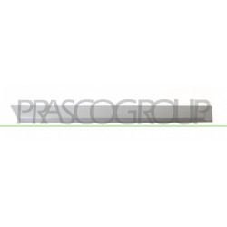 Moulure de Porte arrière côté passager-Grise Mod. 5 Portes