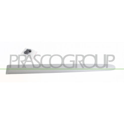 Bandeau Porte arrière côté chauffeur-Noir Lisse Mod. 5 Portes