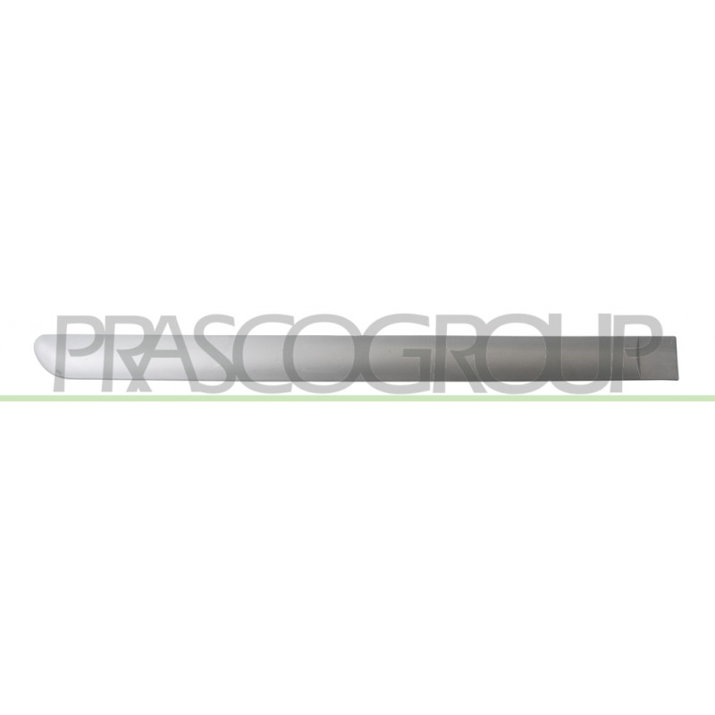 Bandeau de Porte arrière côté passager-Grise-Surface Lisse-avec Clips Mod. 5 Por Bandeau de Porte arrière côté passager-Grise-Surface Lisse-avec Clips Mod. 5 Por