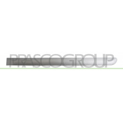 Bandeau de Porte arrière côté chauffeur-Grise-Surface Lisse-avec Clips Mod. 5 Po