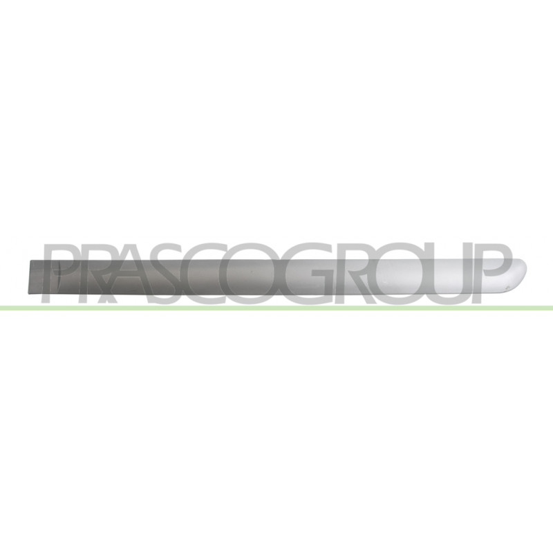Bandeau de Porte arrière côté chauffeur-Grise-Surface Lisse-avec Clips Mod. 5 Po Bandeau de Porte arrière côté chauffeur-Grise-Surface Lisse-avec Clips Mod. 5 Po