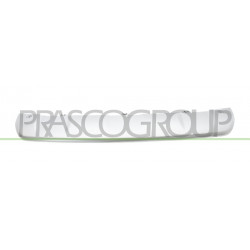 Bandeau Inferieur de Pare-Chocs Arriere-Argent