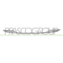 Moulure Inferieur de Grille de Pare-Chocs Avant-Argent
