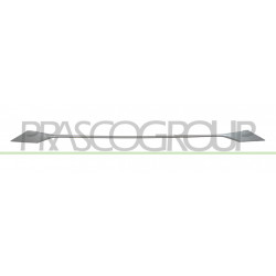 Bandeau Inferieur Centrale de Pare-Chocs avant Argent