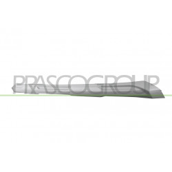 Bandeau Inferieur Centrale de Pare-Chocs avant Argent