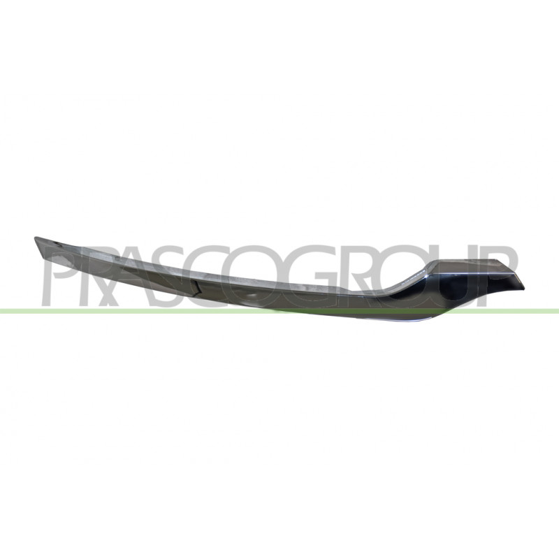 Moulure Chromee côté passager de Grille de Calandre