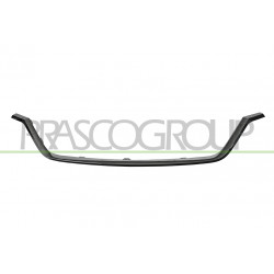 Moulure de Grille de Calandre-Inferieure-Chromee
