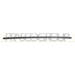 Bandeau de Porte avant côté chauffeur-Noir Structure' Mod. 5 Portes