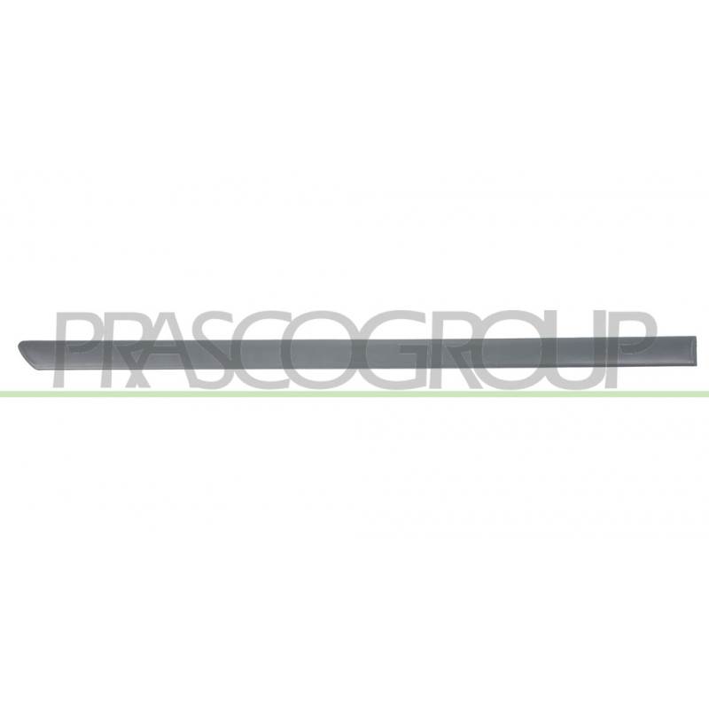 Moulure de Porte arrière côté passager-Noire-Surface Lisse-Prete A Appreter-avec