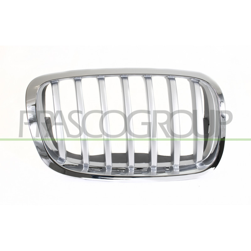 Grille Calandre côté passager-Chromee/Titane Grille Calandre côté passager-Chromee/Titane