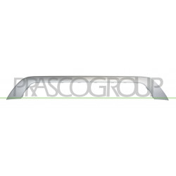 Bandeau Inferieur de Pare-Chocs Arriere-Argent