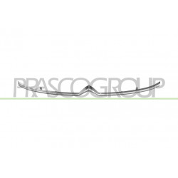 Moulure De Grille De Calandre-Superieure-Chromee