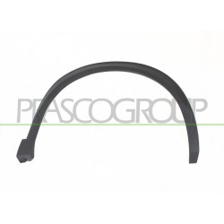 Extension d'Aile avant côté passager-Noire Structure'