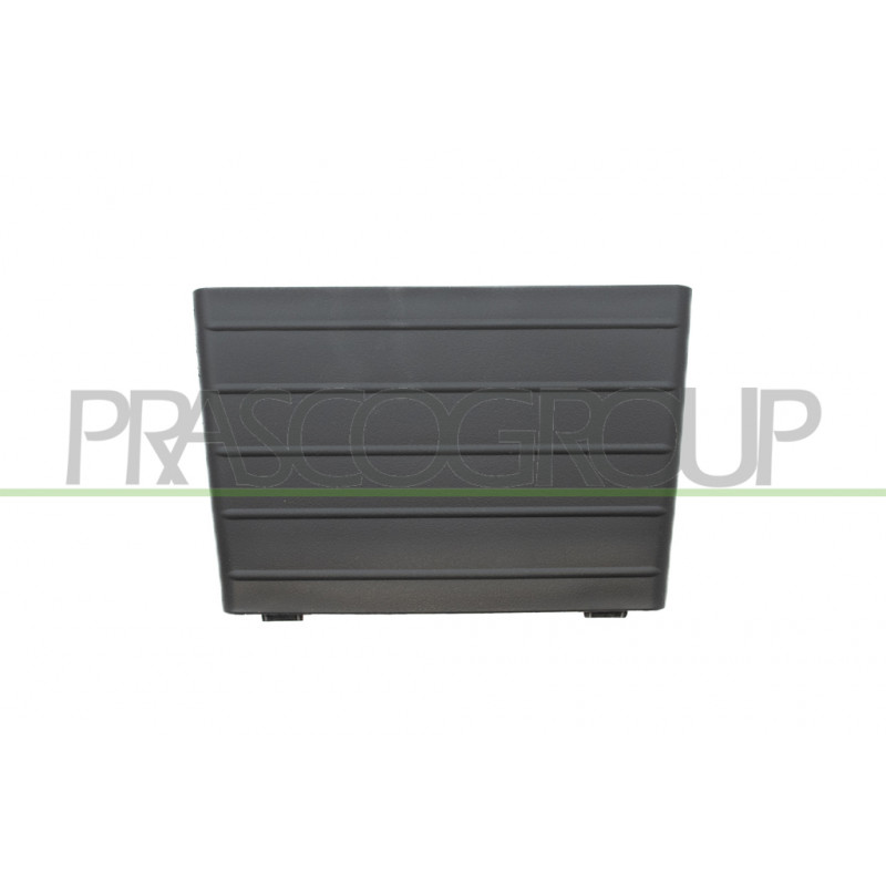 Grille Centrale de Pare-Chocs-Fonction Regulateur de Vitesse