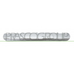 Bandeau Inferieur de Pare-Chocs Avant-Gris/Argent