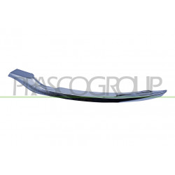 Moulure Chromee côté chauffeur de Grille de Calandre