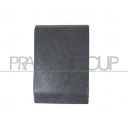 Moulure montante côté passager