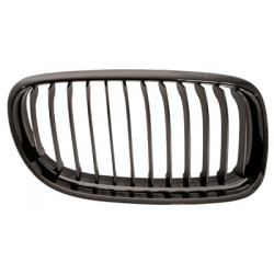 Grille de calandre noire...