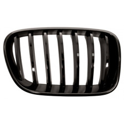 Grille de calandre noire...