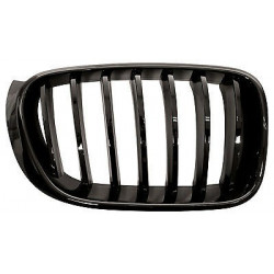 Grille de calandre noire...