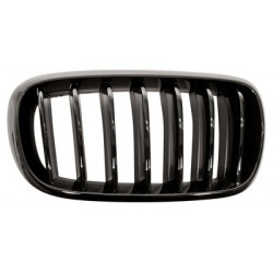 Grille de calandre noire...