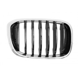 Grille de calandre noire avec cadre chrome côté passager