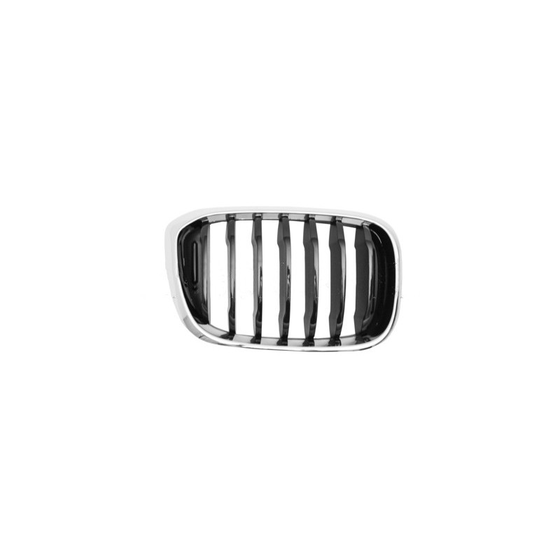 Grille de calandre noire avec cadre chrome côté passager