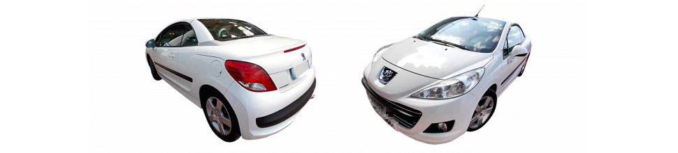 PEUGEOT - 207 : 06/09 - 01/12