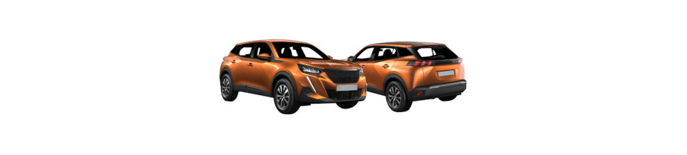 PEUGEOT - 2008 : 08/19 -