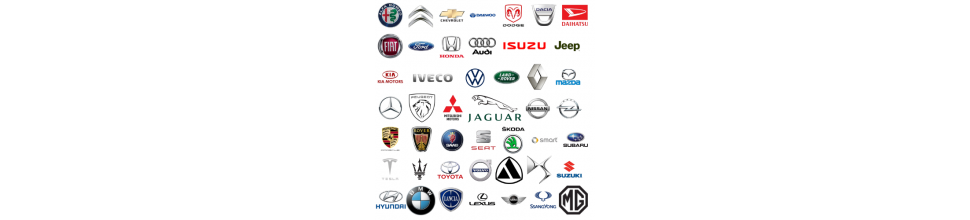 MULTIMARQUES